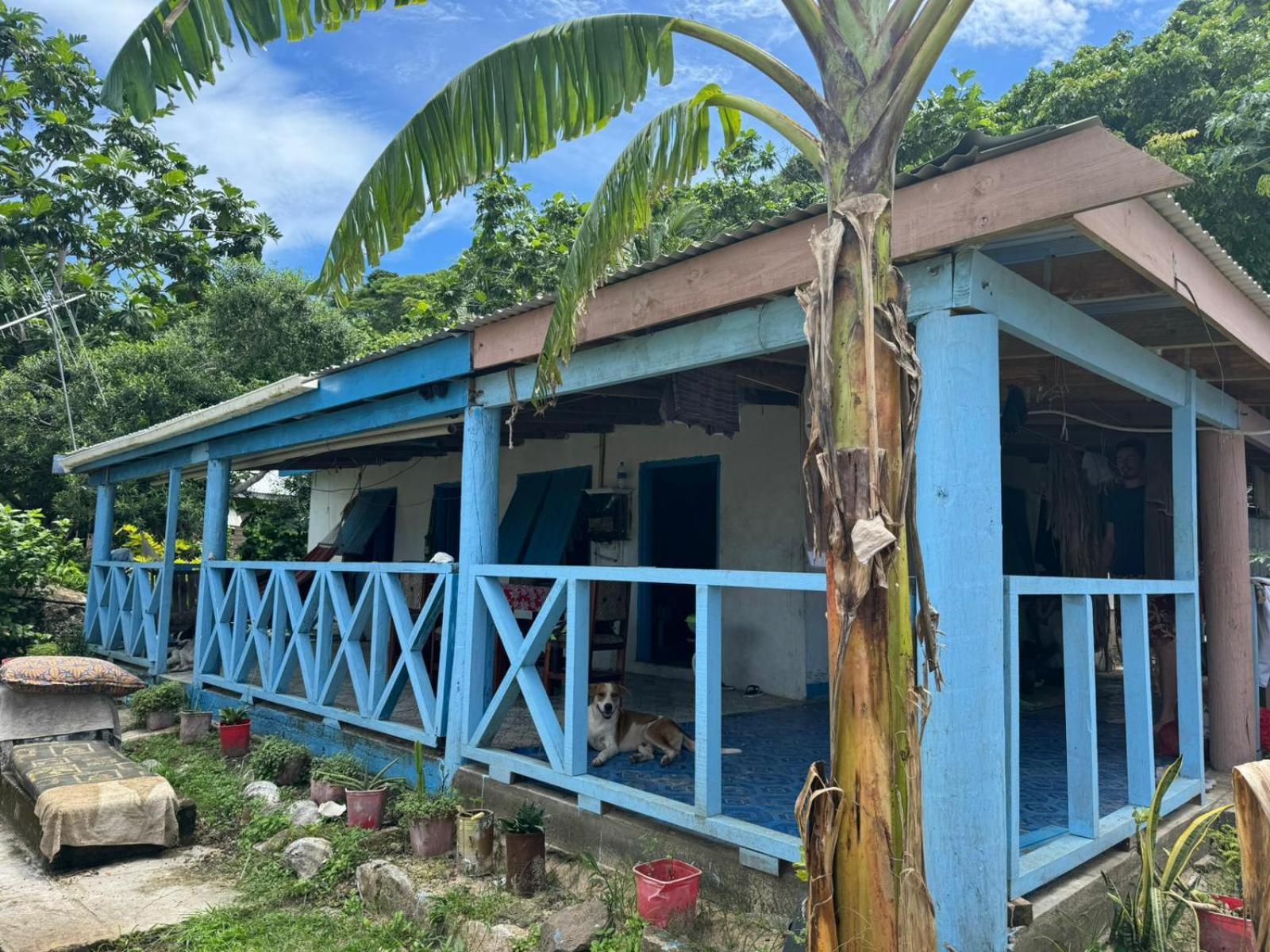 Lusis Homestay Лаутока Екстериор снимка